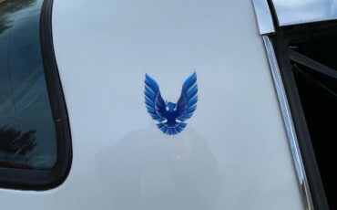 Pontiac-Trans-Am-1980-Coupe-22