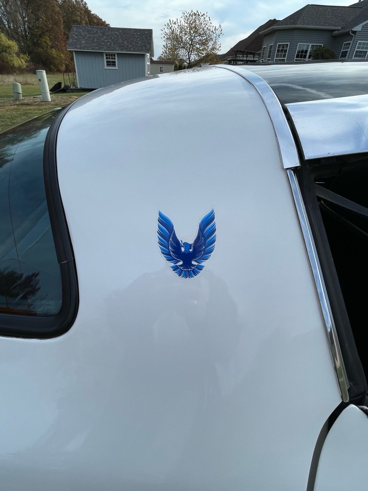 Pontiac-Trans-Am-1980-Coupe-22