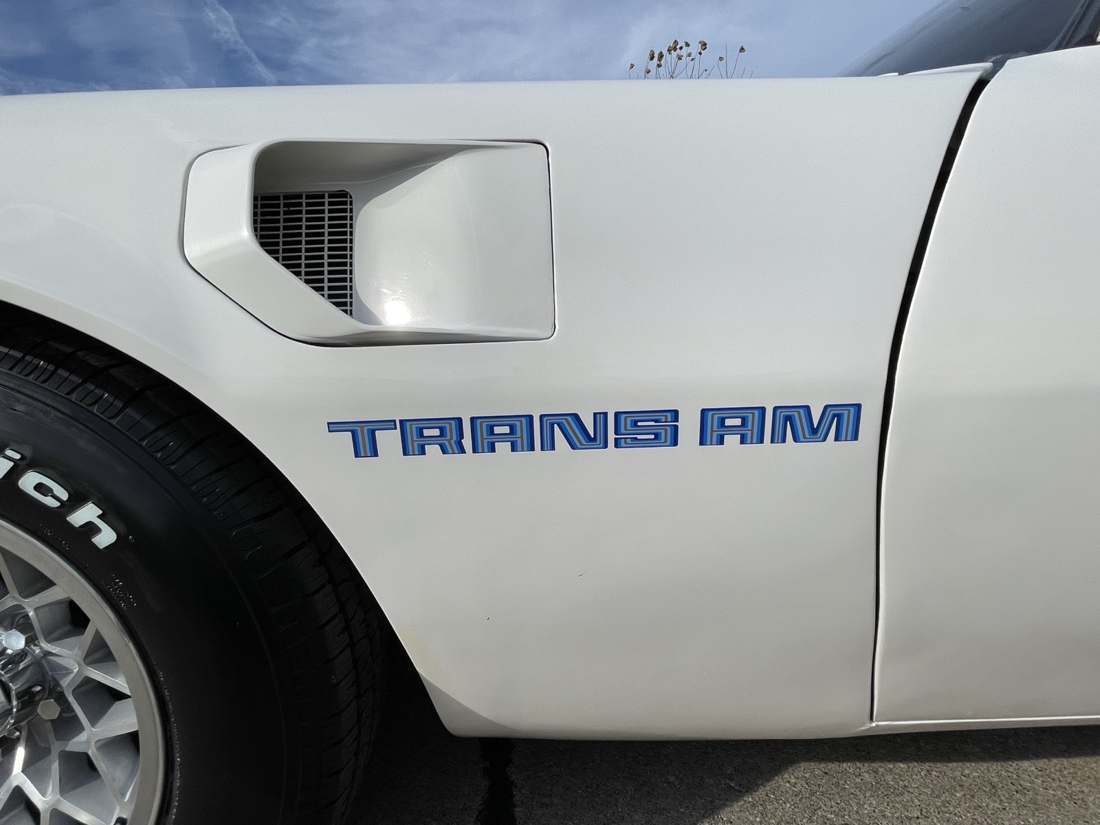 Pontiac-Trans-Am-1980-Coupe-24