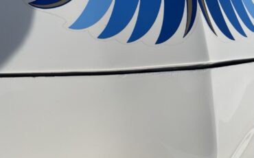 Pontiac-Trans-Am-1980-Coupe-35