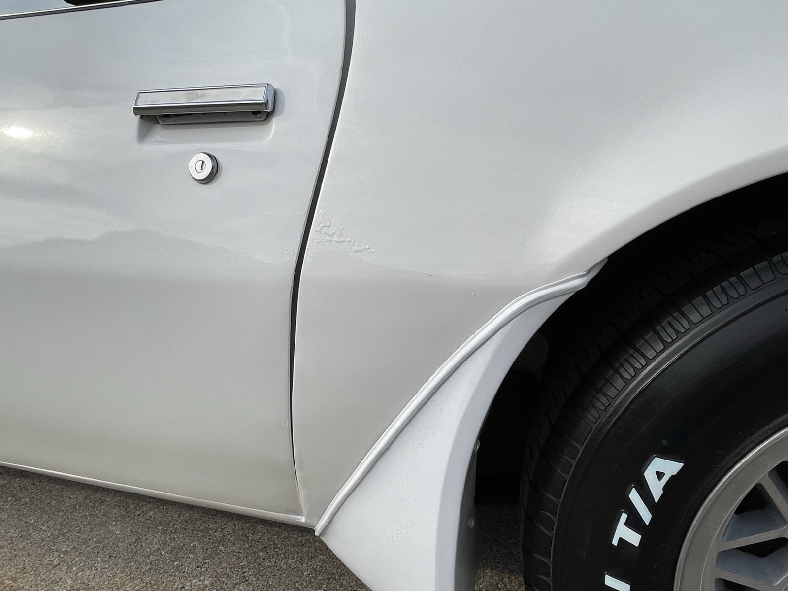 Pontiac-Trans-Am-1980-Coupe-7