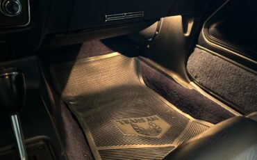 Pontiac-Trans-Am-1981-Coupe-18