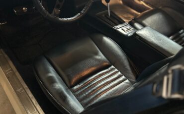 Pontiac-Trans-Am-1981-Coupe-19