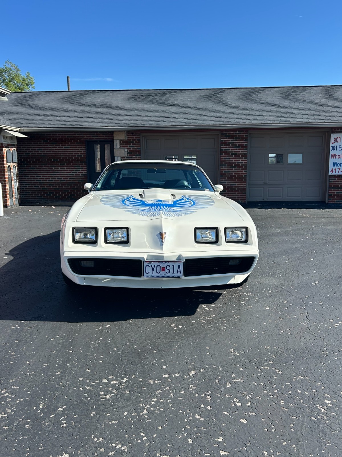 Pontiac-Trans-Am-1981-Coupe-5