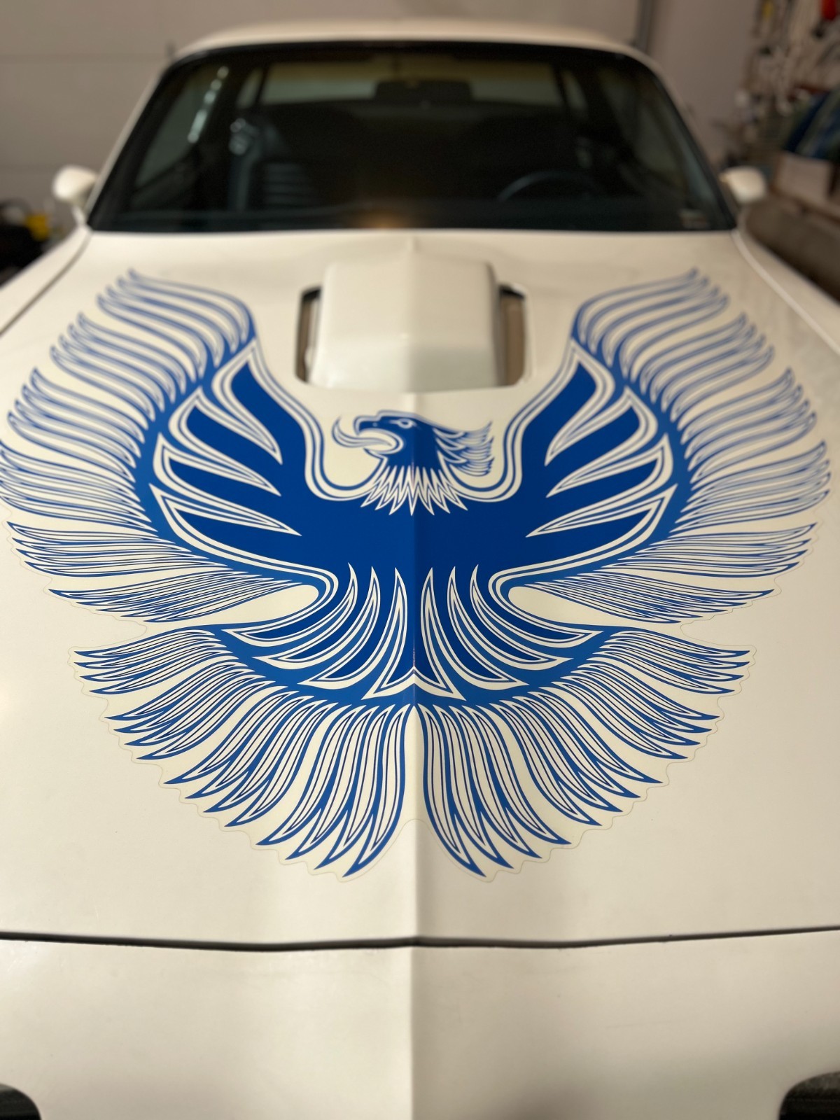 Pontiac-Trans-Am-1981-Coupe-8