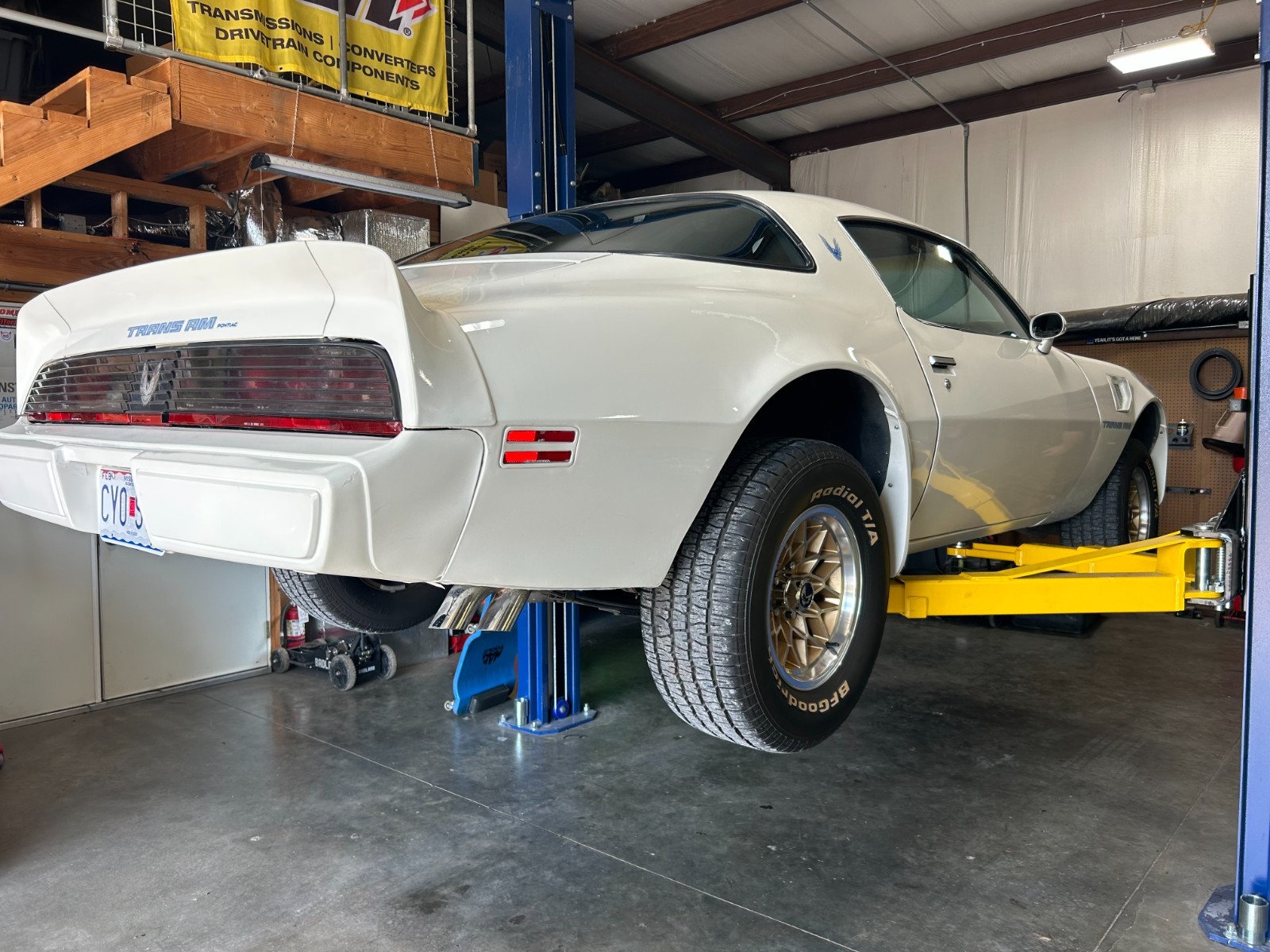 Pontiac-Trans-Am-1981-Coupe-9