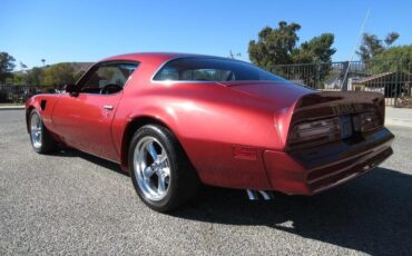 Pontiac-Trans-am-1976-Firethorn-Red-Firethorn-Red-19
