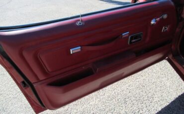 Pontiac-Trans-am-1976-Firethorn-Red-Firethorn-Red-9