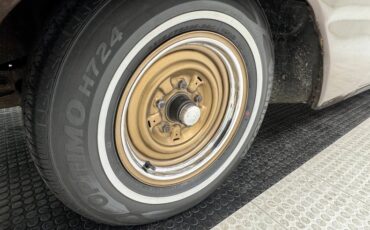 Pontiac-Ventura-1960-Mahogany-Fawn-13