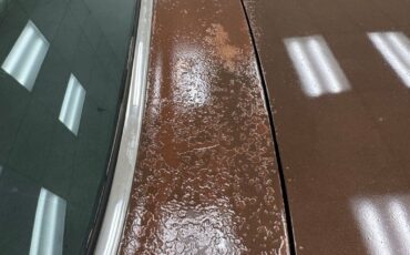 Pontiac-Ventura-1960-Mahogany-Fawn-36