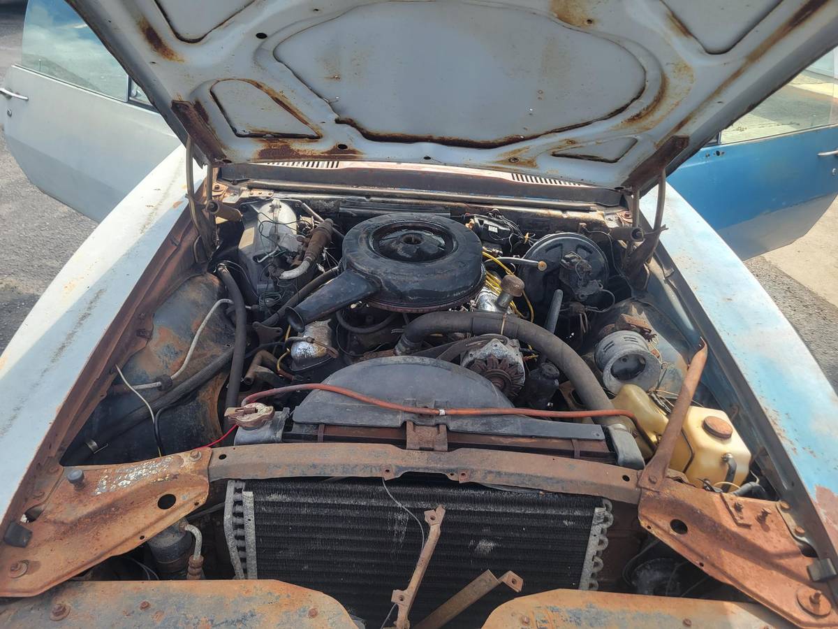 Pontiac-firebird-1967-blue-10