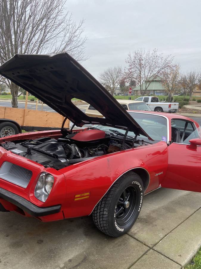 Pontiac-firebird-1975-9