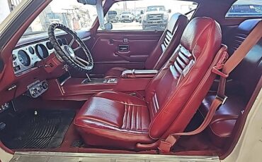 Pontiac-firebird-1979-custom-38