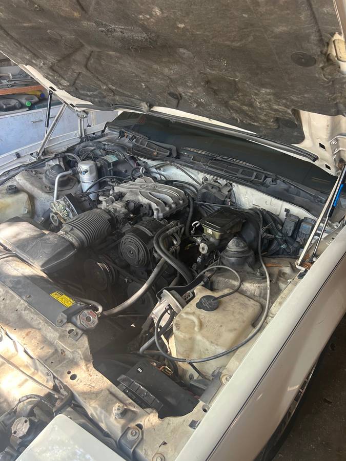 Pontiac-firebird-1986-11