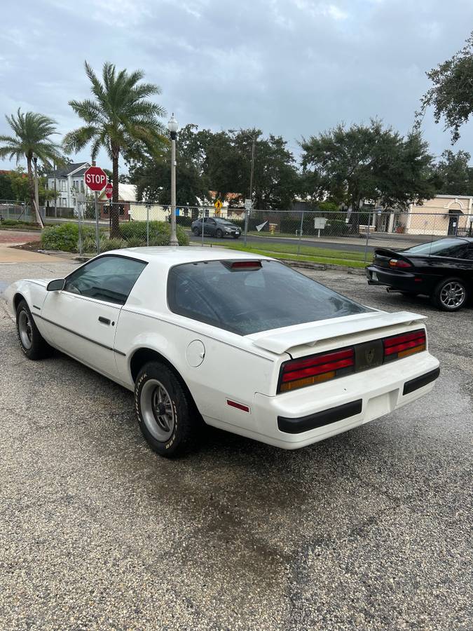 Pontiac-firebird-1986-9