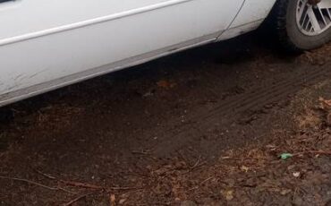 Pontiac-firebird-1991-4