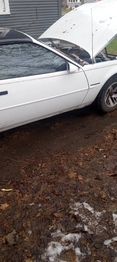 Pontiac-firebird-1991-4