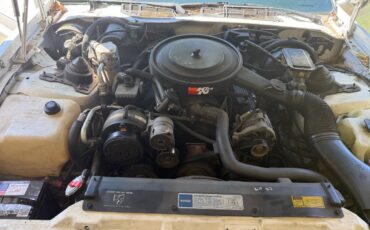 Pontiac-firebird-1991-white-2