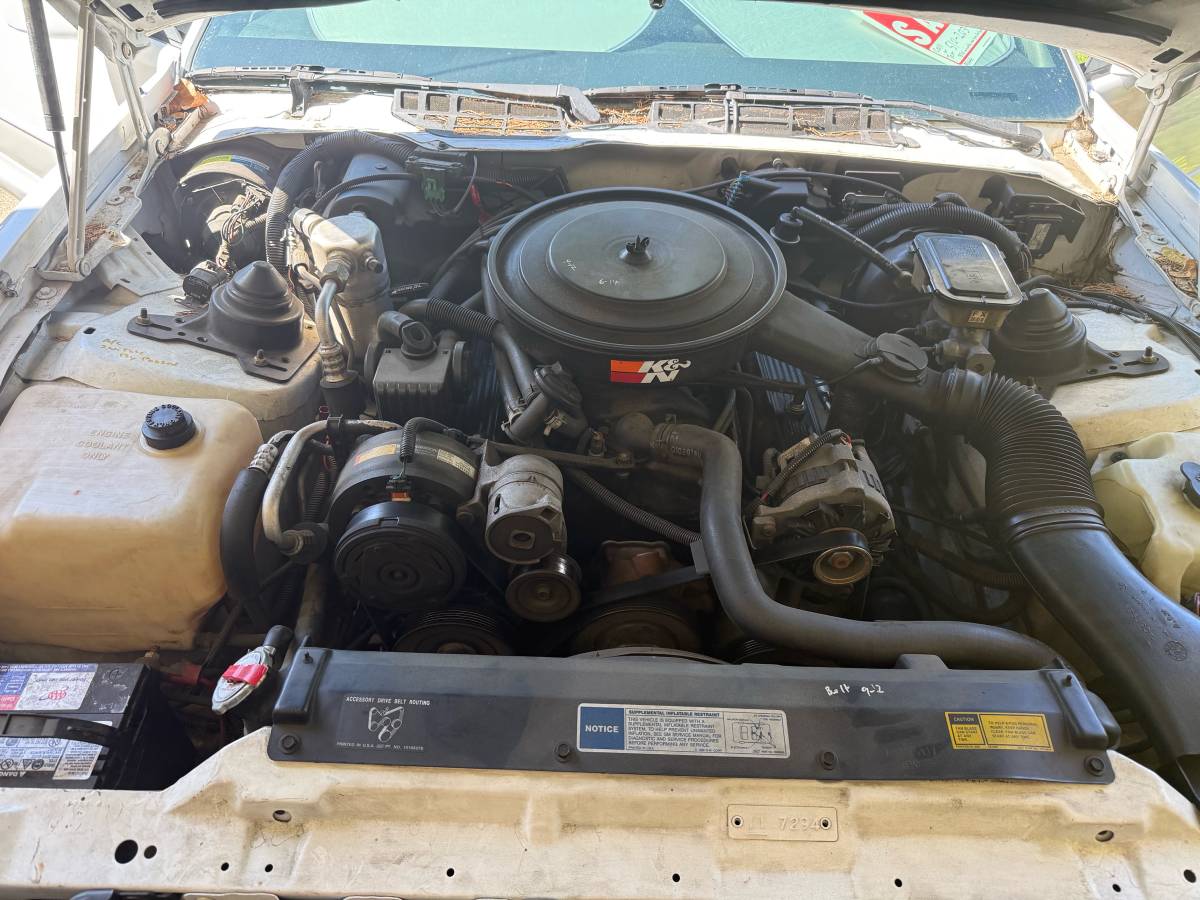 Pontiac-firebird-1991-white-2