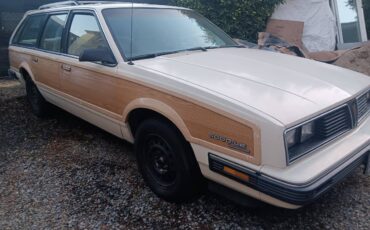 Pontiac-firebird-1995-white