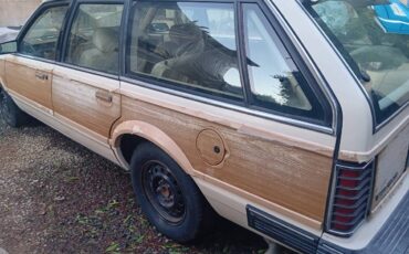 Pontiac-firebird-1995-white-3