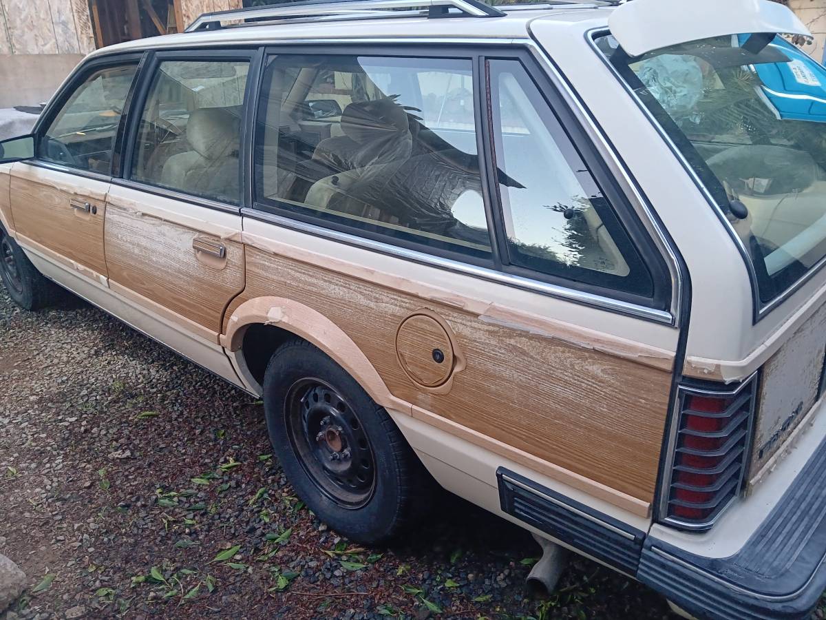 Pontiac-firebird-1995-white-3