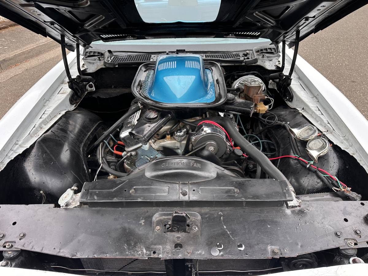 Pontiac-firebird-trans-am-1970-white-2