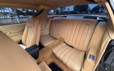 Pontiac-firebird-trans-am-1976-black-11