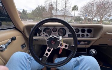 Pontiac-firebird-trans-am-1976-black-6