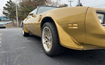 Pontiac-firebird-trans-am-1978-10