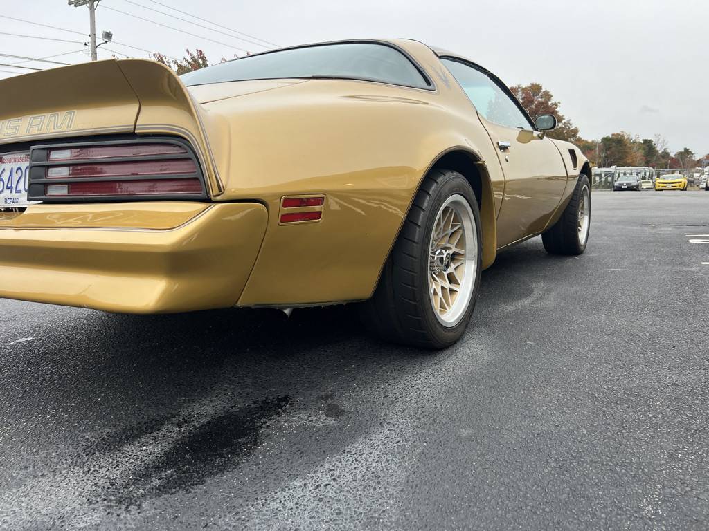 Pontiac-firebird-trans-am-1978-11
