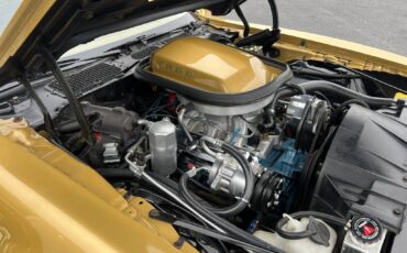 Pontiac-firebird-trans-am-1978-16