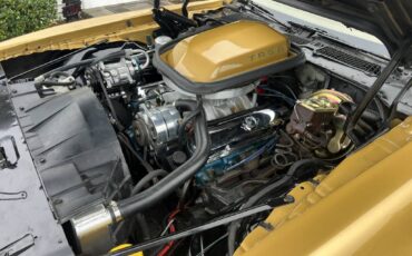 Pontiac-firebird-trans-am-1978-17