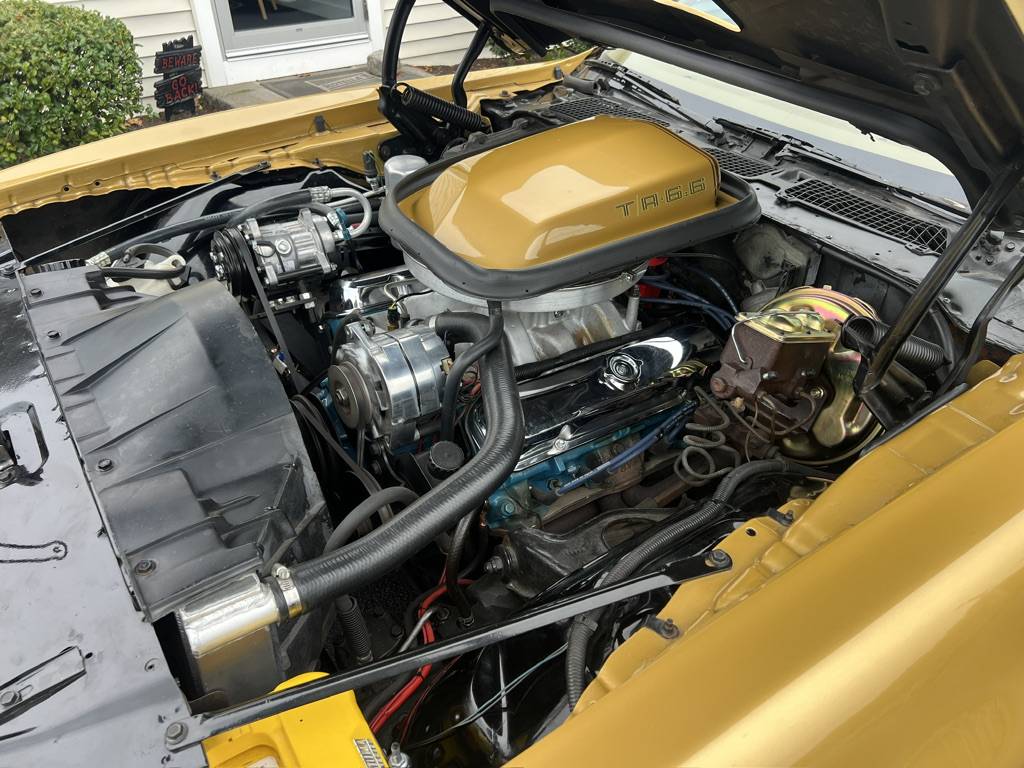 Pontiac-firebird-trans-am-1978-17