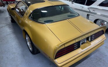 Pontiac-firebird-trans-am-1978-3