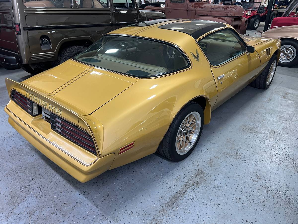 Pontiac-firebird-trans-am-1978-4