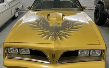 Pontiac-firebird-trans-am-1978-5