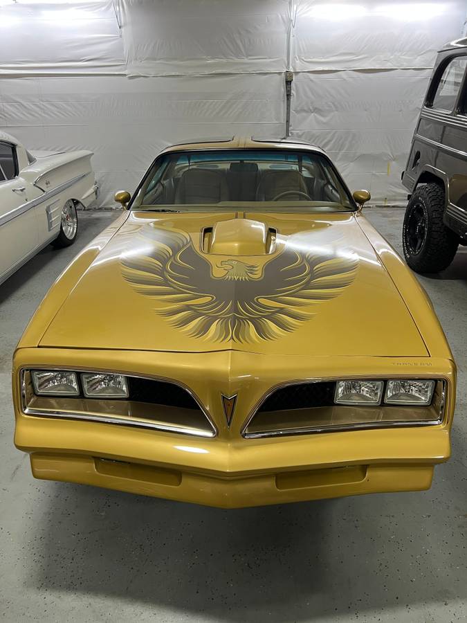 Pontiac-firebird-trans-am-1978-5