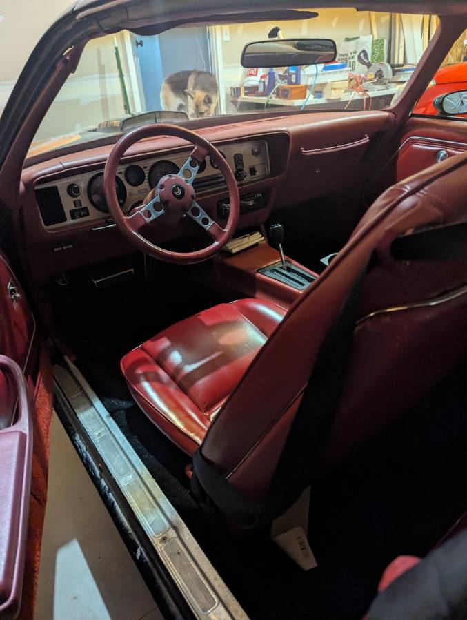 Pontiac-firebird-trans-am-1979-black-3