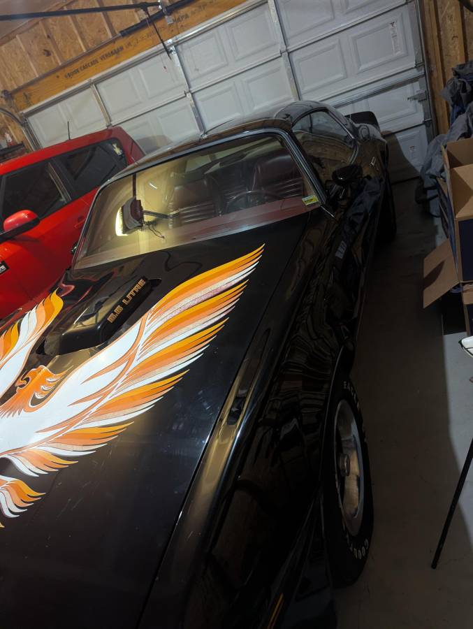 Pontiac-firebird-trans-am-1979-black-5