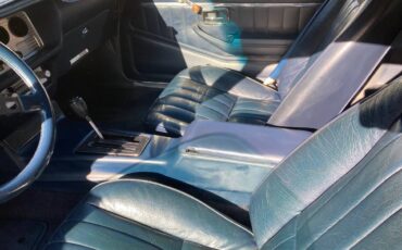 Pontiac-firebird-trans-am-1980-white-13