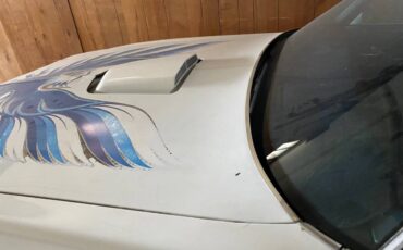 Pontiac-firebird-trans-am-1980-white