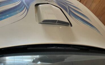 Pontiac-firebird-trans-am-1980-white-6