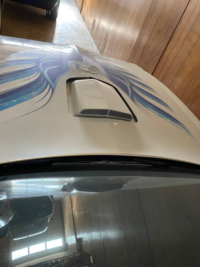 Pontiac-firebird-trans-am-1980-white-6