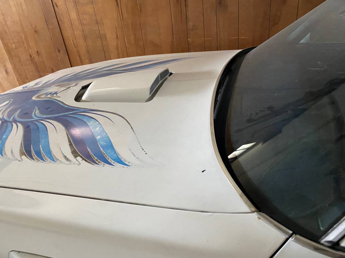 Pontiac-firebird-trans-am-1980-white