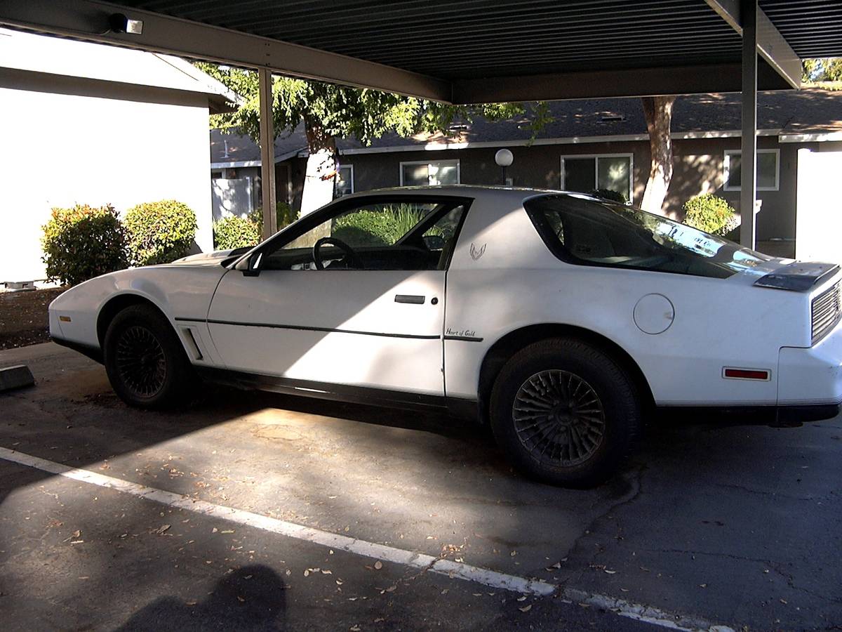 Pontiac-firebird-trans-am-1982-white-3