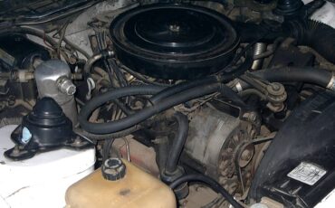 Pontiac-firebird-trans-am-1982-white-8