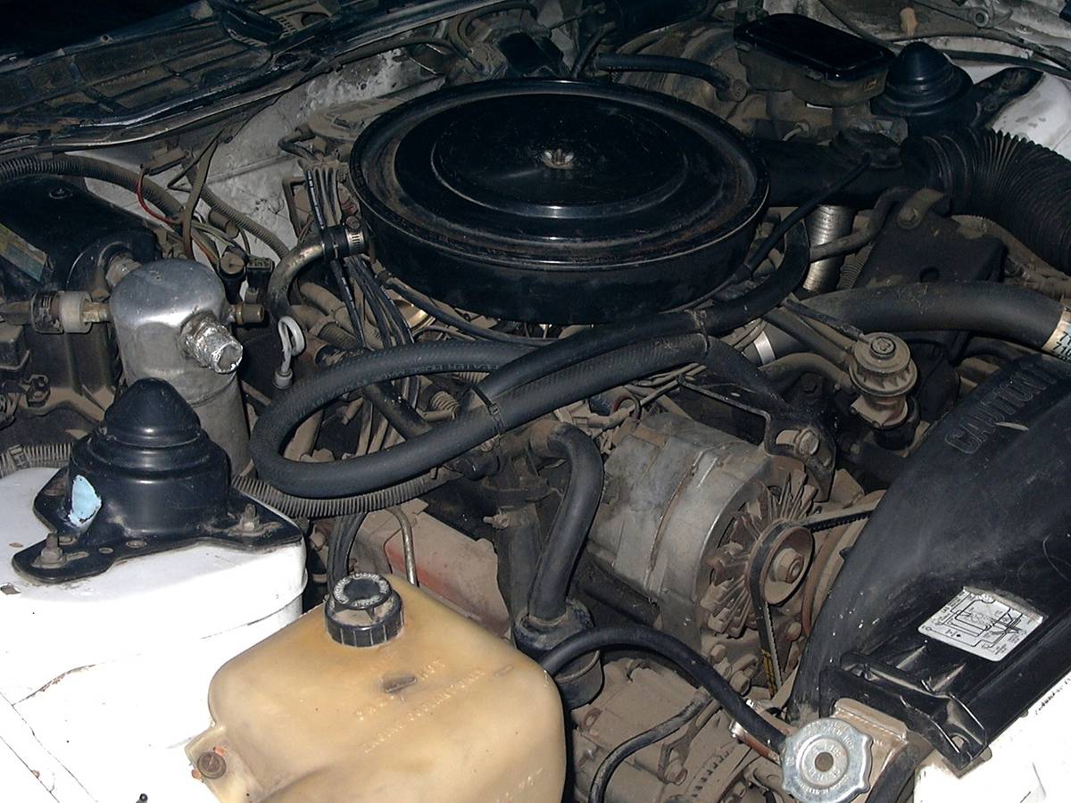 Pontiac-firebird-trans-am-1982-white-8