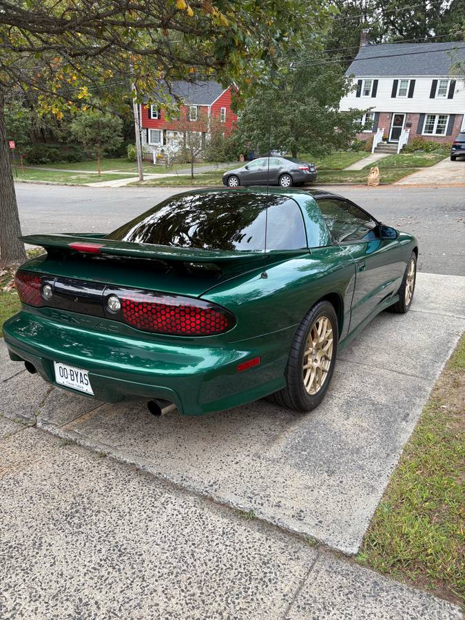 Pontiac-firebird-trans-am-1993-green-5
