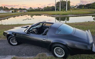 Pontiac-firebird-trans-am-ws6-1979-1